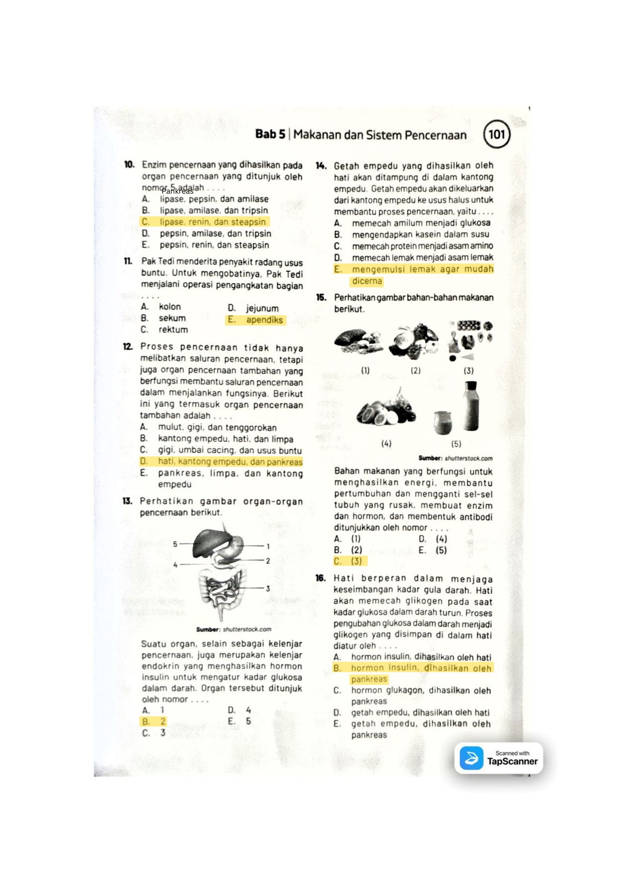 Halaman 1 handout Makanan dan Sistem Pencernaan