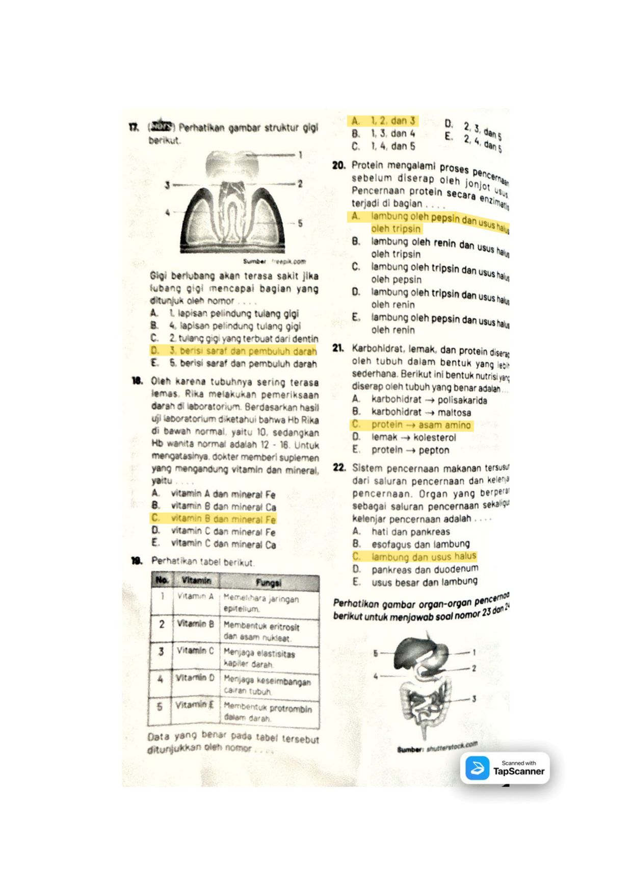 Halaman 2 handout Makanan dan Sistem Pencernaan